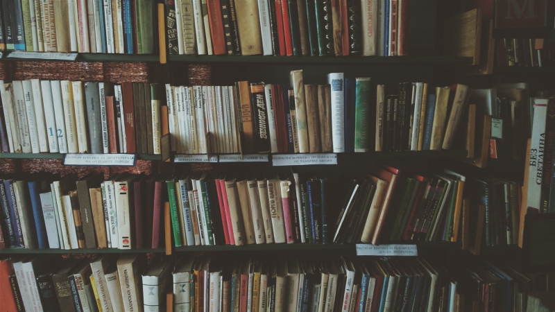 librairie-HYERES-min_bookcase-1869616 (1)